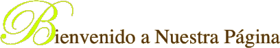 Bienvenido a Nuestra Página